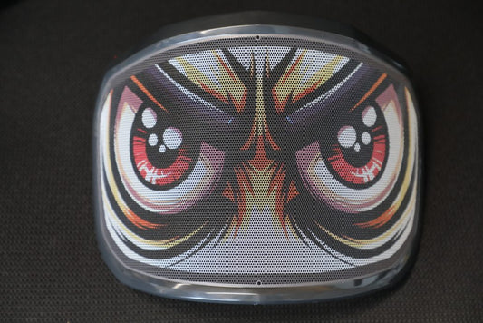 Protos Printed Visor