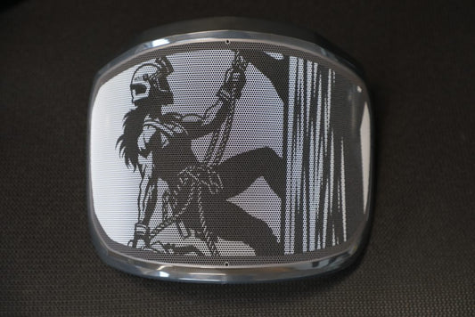 Protos Printed Visor