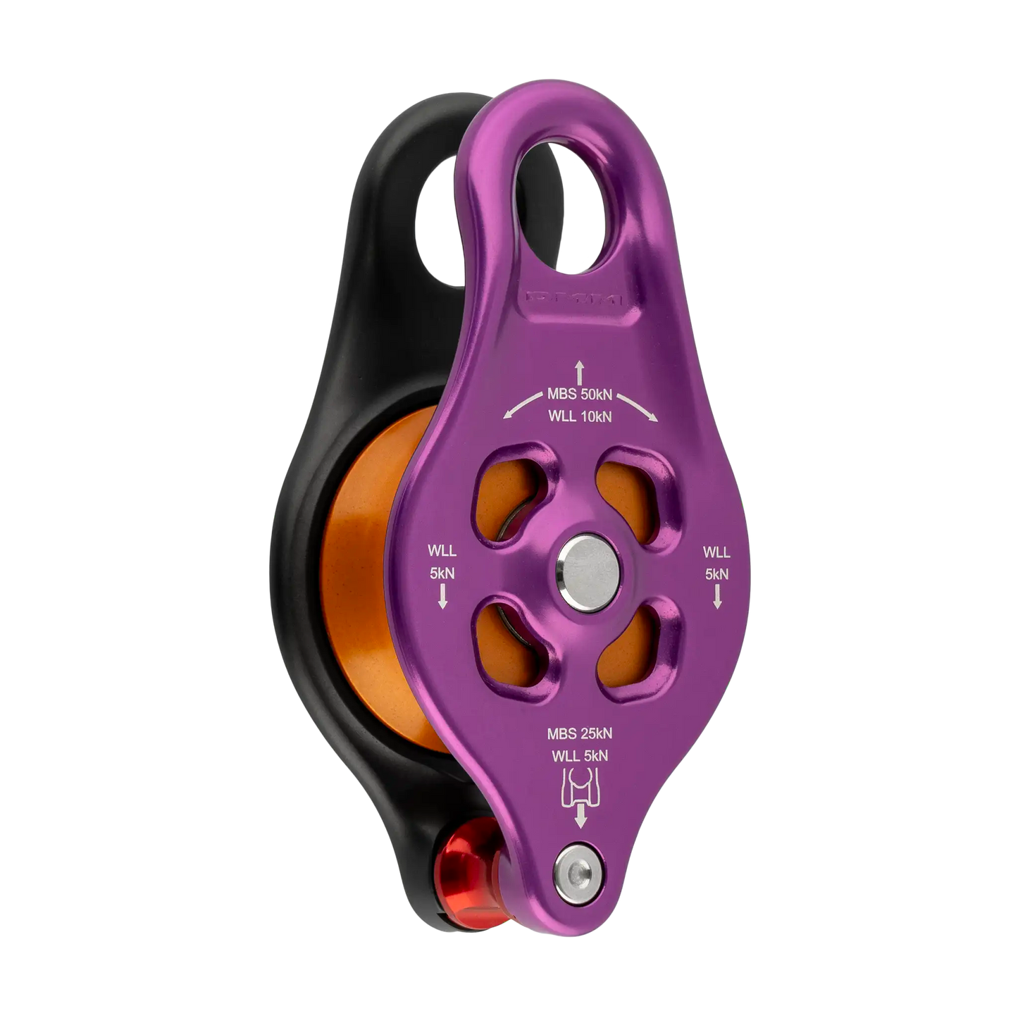 DMM Pinto RIG 2