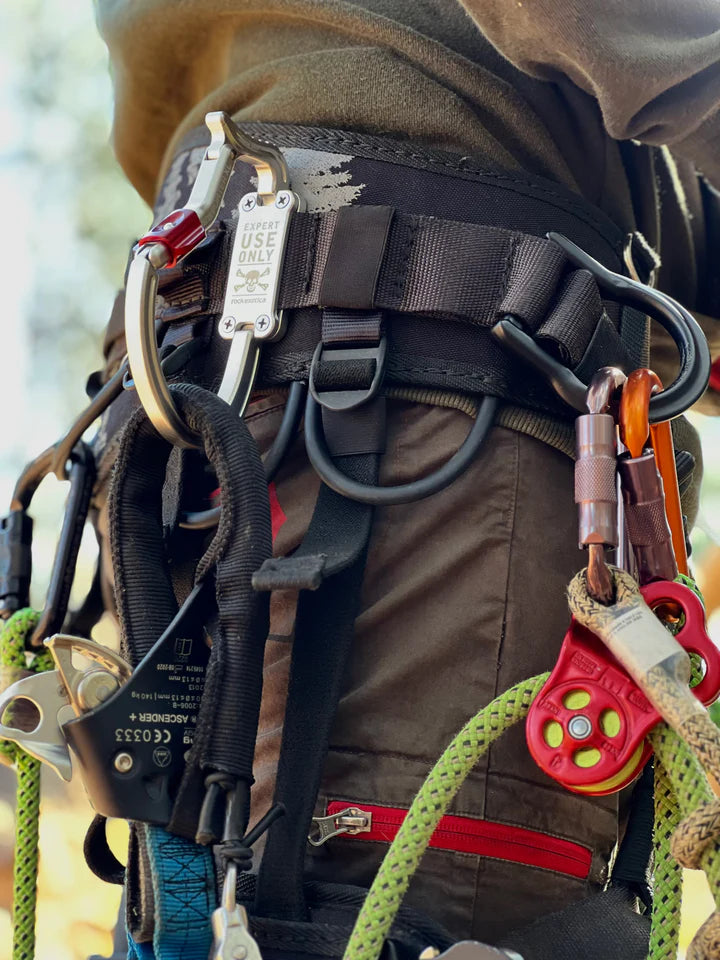 Rock Exotica Transporter - XL