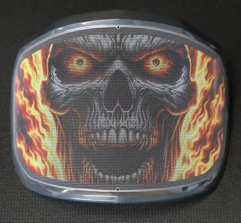 Protos Printed Visor