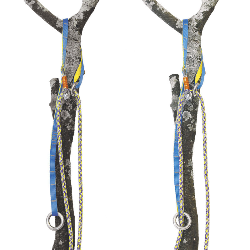 FTC Tree Joker Light Cambium Saver / Base Anchor