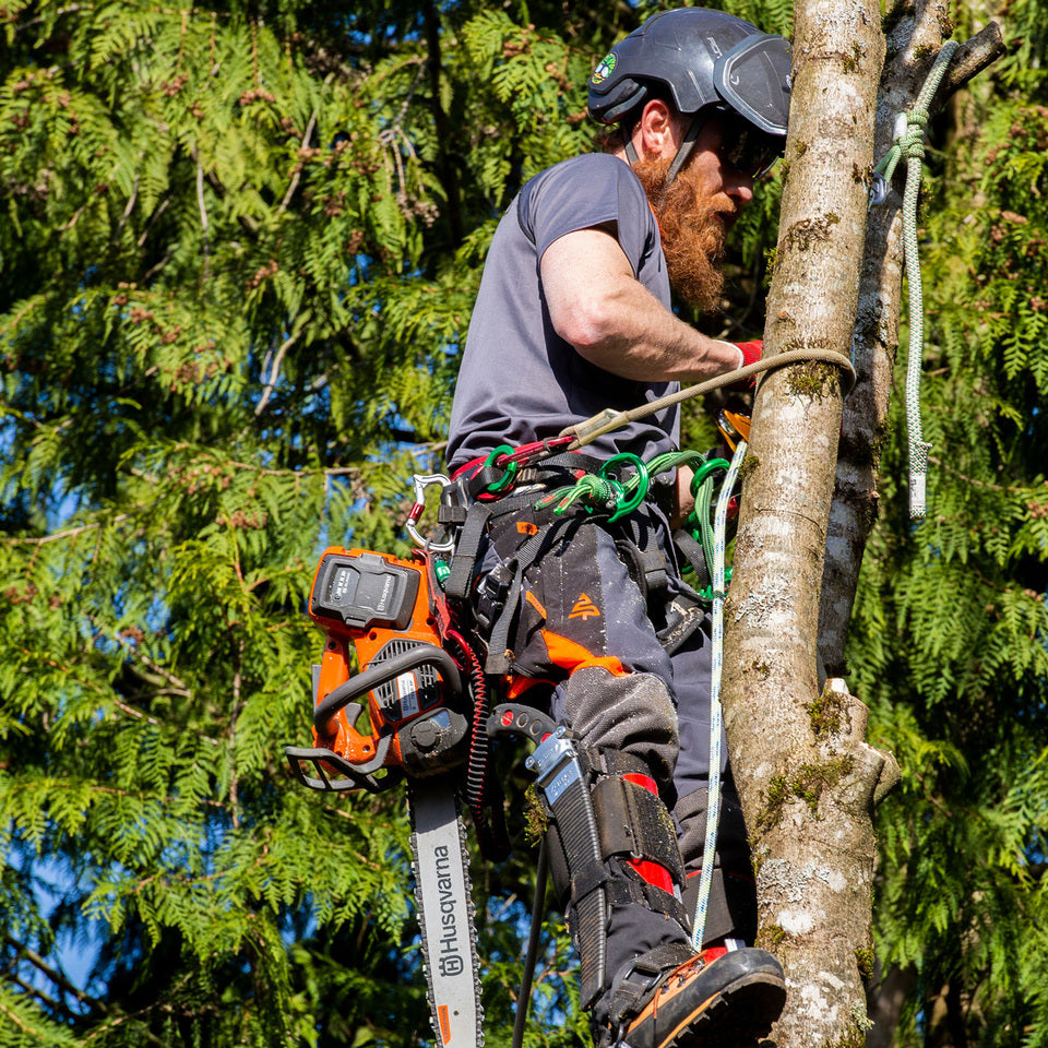 Clogger Ascend Gen2 Seasonal Men's Arborist Chainsaw Trousers TU71B