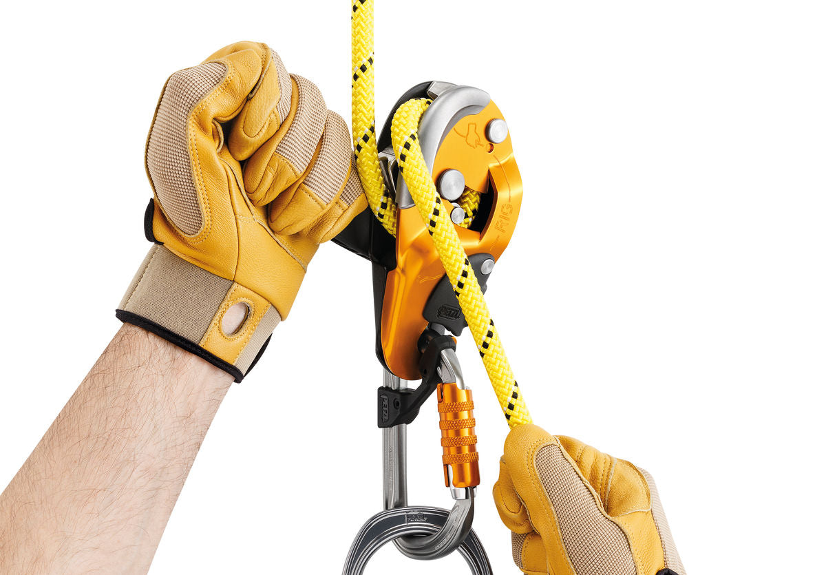 Petzl Rig - LRV8 Rescue