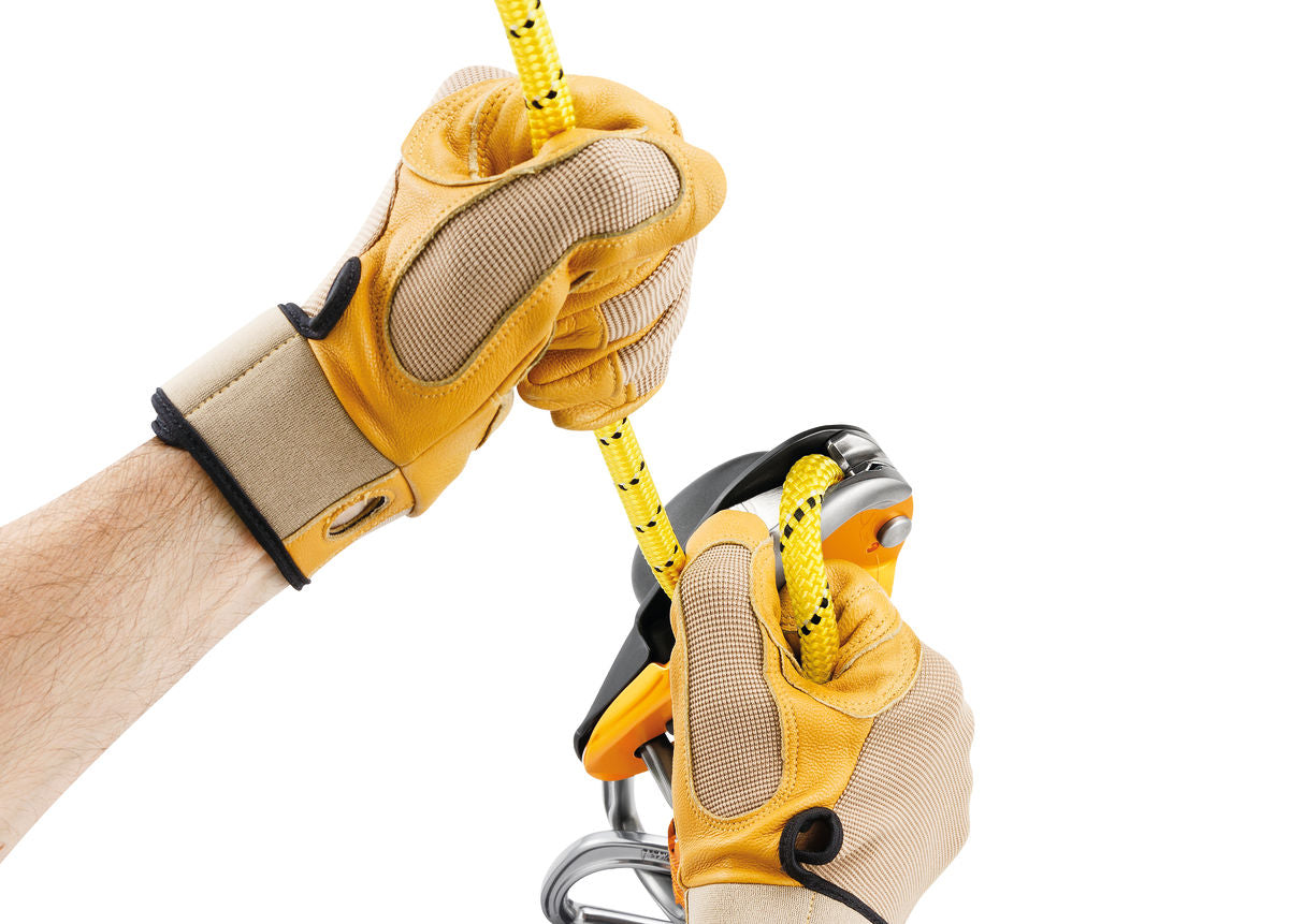Petzl Rig - LRV8 Rescue