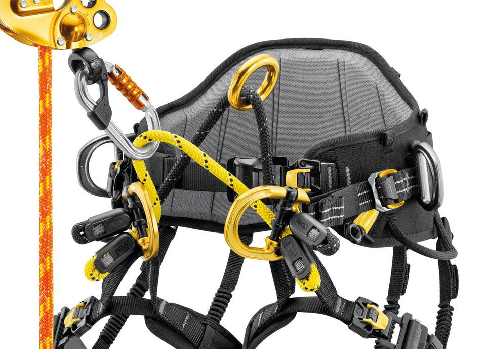 Petzl Sequoia Plus Harness 2026