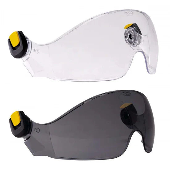 Petzl Vizir